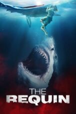 he Requin (2022)